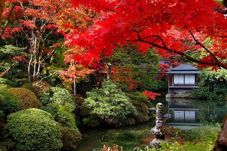 逍遥園
