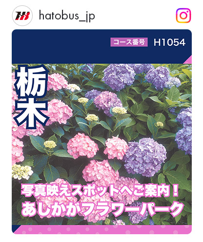 H1054