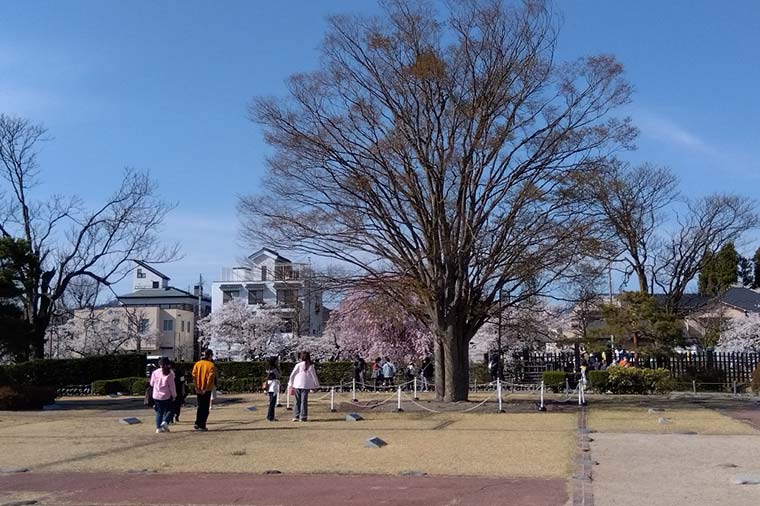 松本城