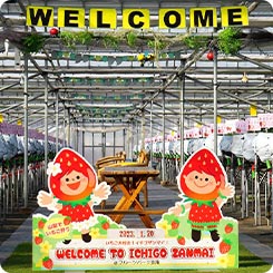 いちござんまい