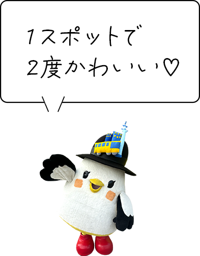 しゃぽぽ