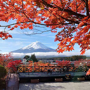 ハーブ庭園紅葉日帰り