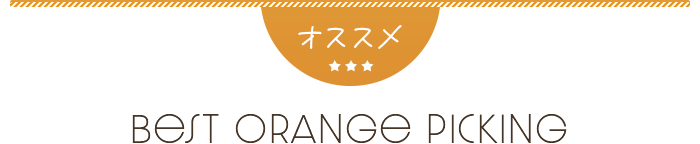 みかん狩りコース一覧