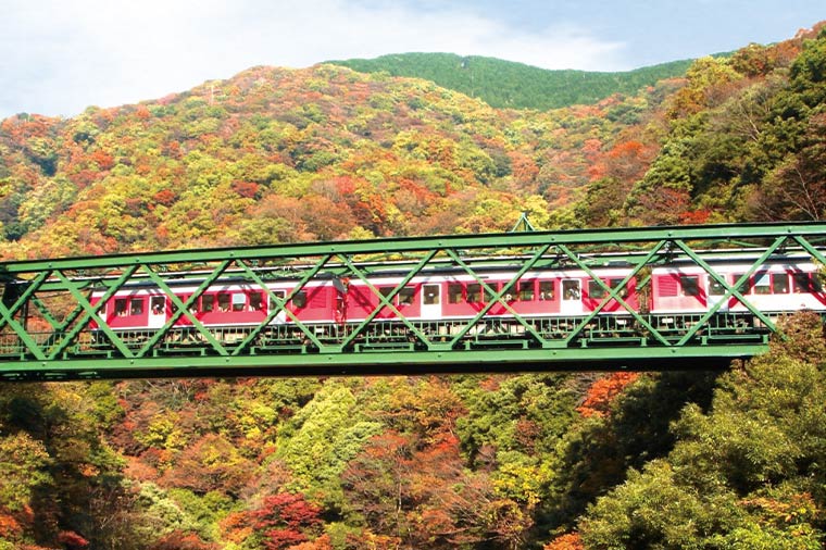 箱根登山鉄道・秋