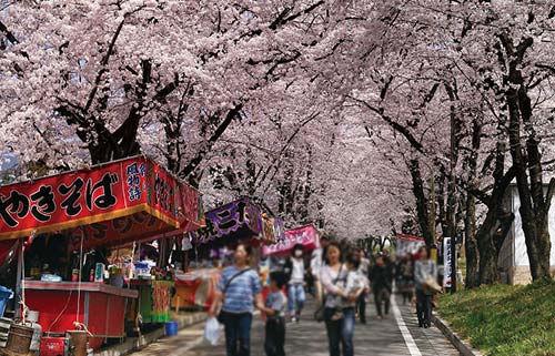 赤城南面千本桜・屋台