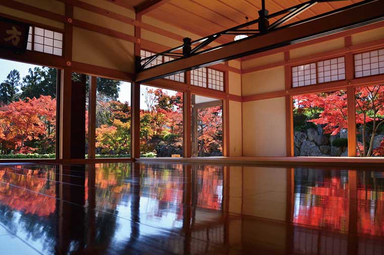 宝徳寺・床もみじ