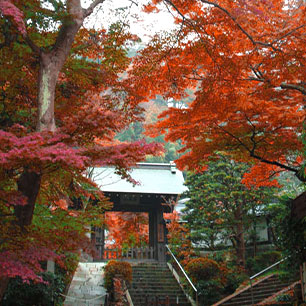 建長寺紅葉日帰り