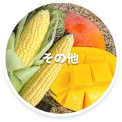 野菜狩り・その他の果物