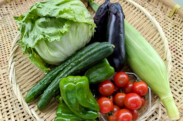 夏野菜プレゼント