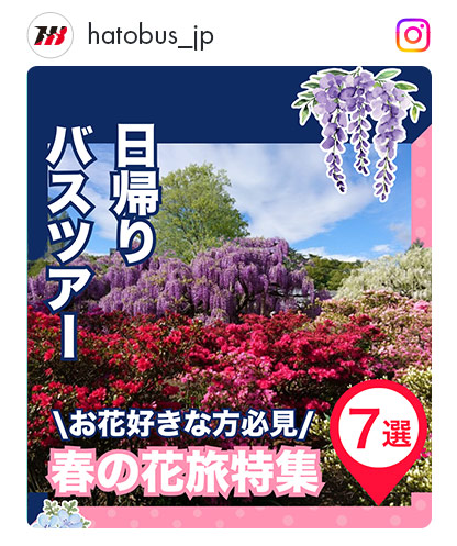 春の花旅選