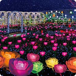 あしかがフラワーパーク