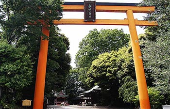 氷川神社