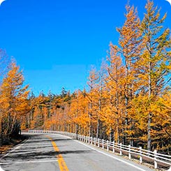 富士スバルライン