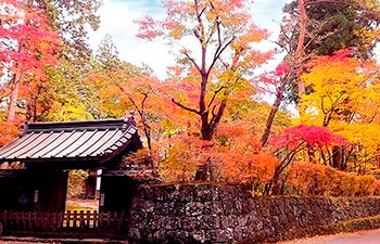 秋の日光