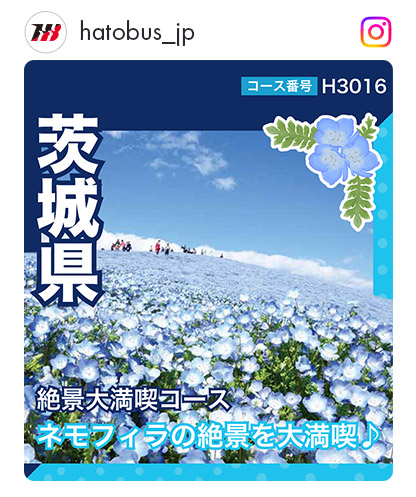 H3016