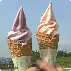 信州フルーツランドミニソフト
