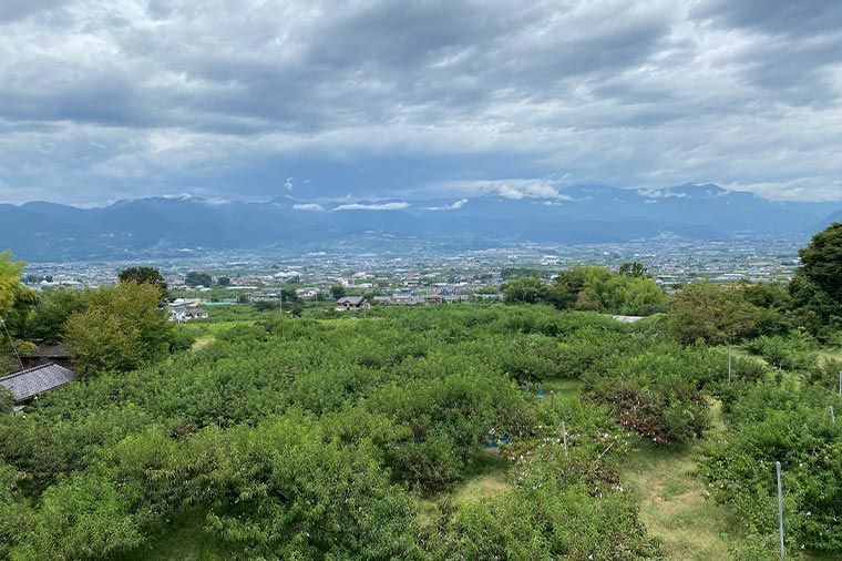 見晴らし園/