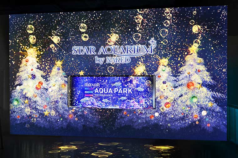 アクアパーク品川2025【クリスマスナイト】エントランス