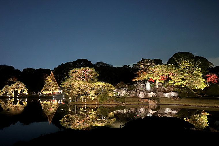 六義園・ライトアップ
