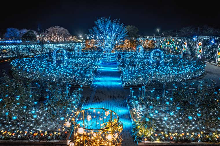 あしかがフラワーパーク