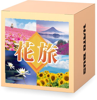 夏の花特集2025