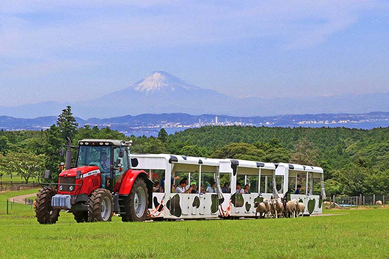 マザーファームツアー