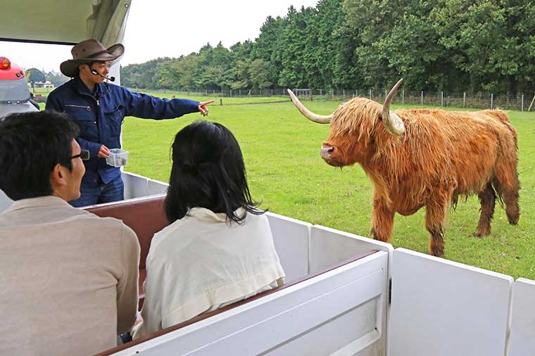 マザー牧場・マザーファームツアー