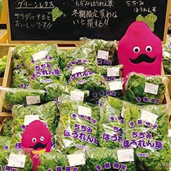 なめがたファーマーズヴィレッジ