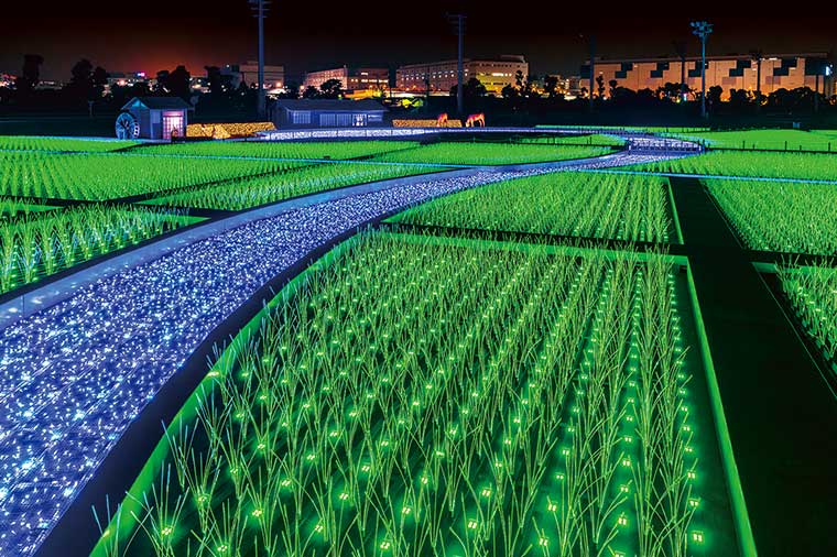 東京メガイルミ