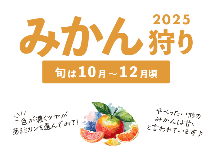 みかん狩り特集2025