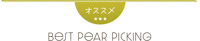 おすすめブルーベリー狩りバスツアー