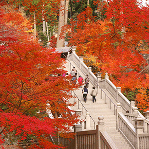 法多山尊永寺紅葉宿泊