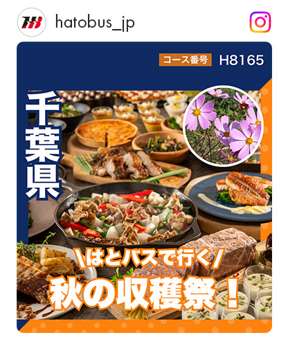 H8165