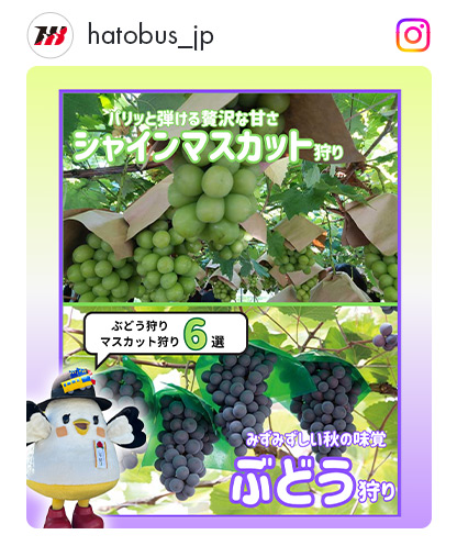 ぶどう狩りインスタ特集