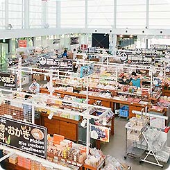 道の駅保田小学校