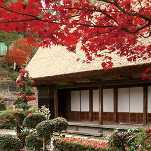 合掌村紅葉宿泊