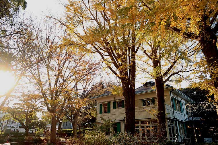 エリスマン邸・秋