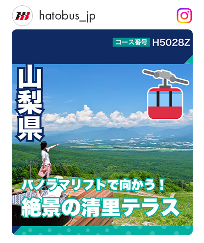 H5028Z