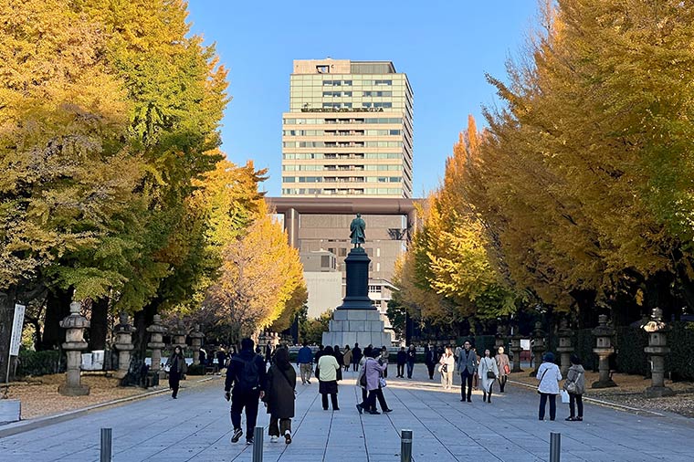 靖国神社銀杏