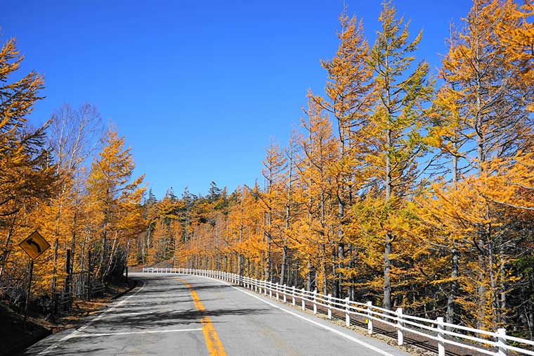 富士スバルライン