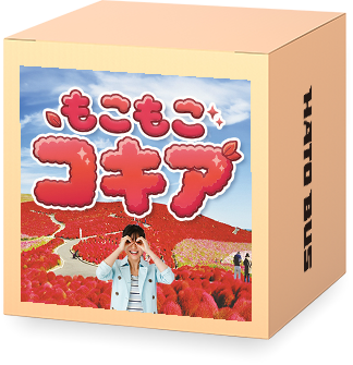 コキア特集2026秋