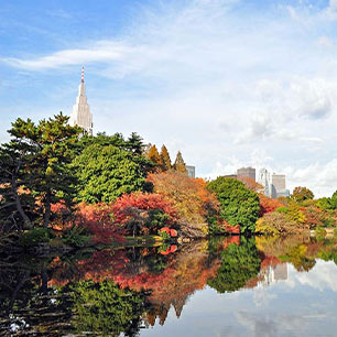 新宿御苑紅葉