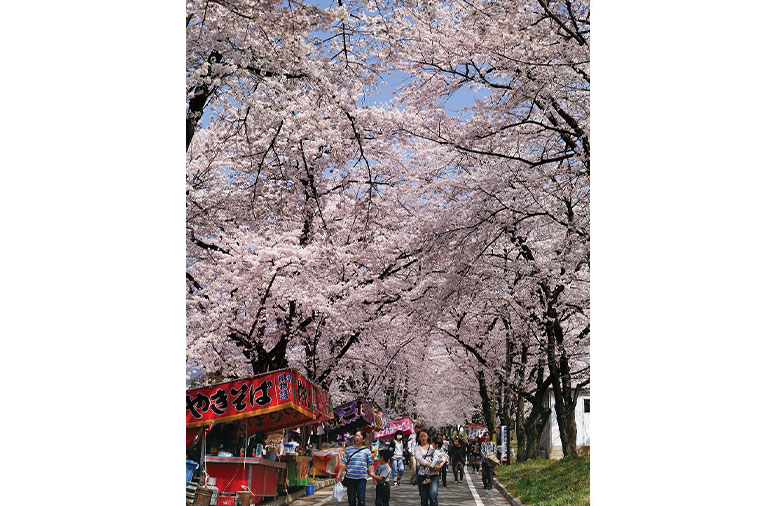 赤城南面千本桜