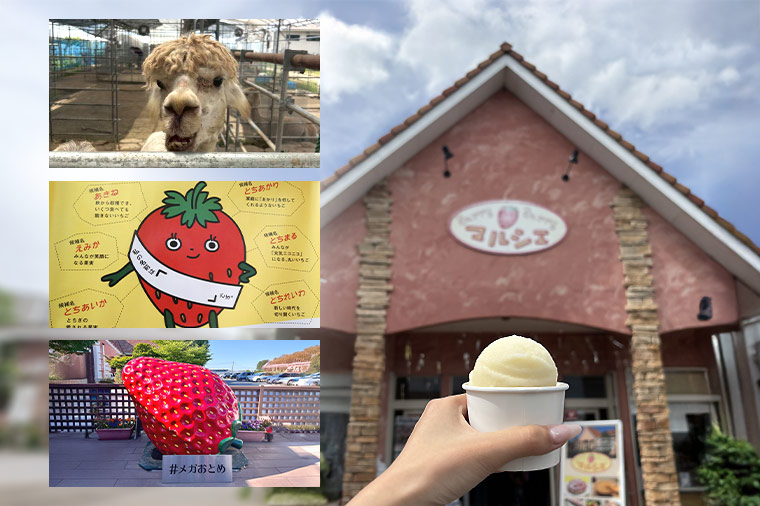 いちごの里・ショッピング