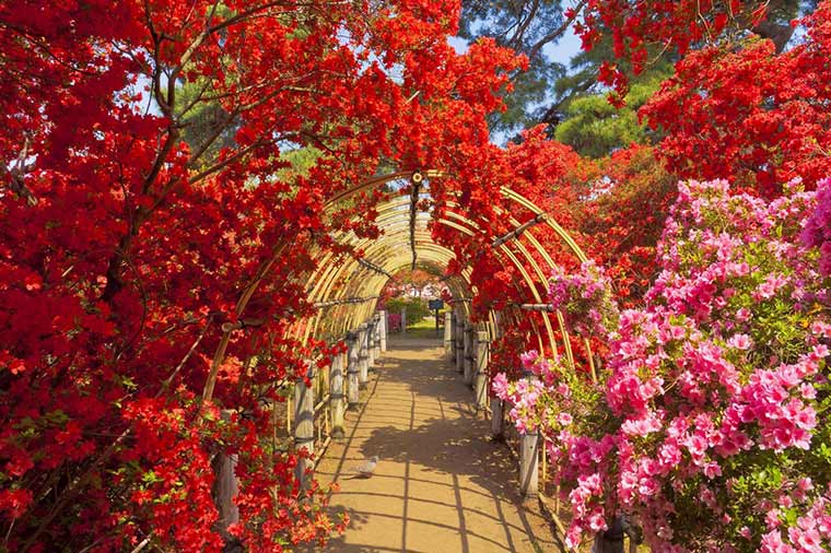 館林つつじが岡公園