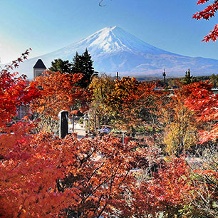 ハーブ庭園紅葉宿泊