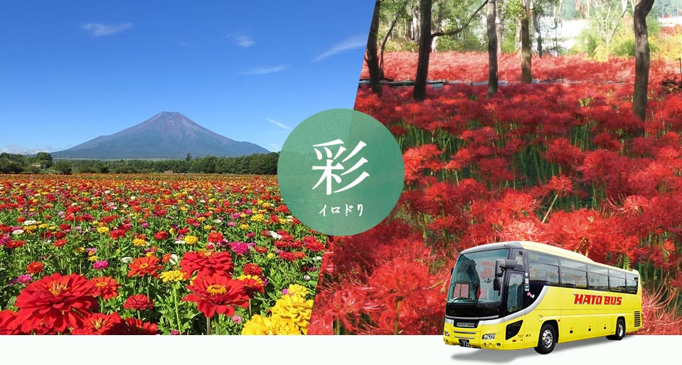 その他の花バスツアー