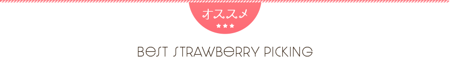 いちご狩りバスツアー