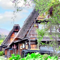 白川郷