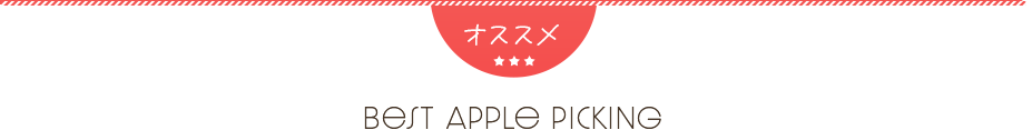 りんご狩りコース一覧